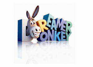 Dreamer Donkey Ltd